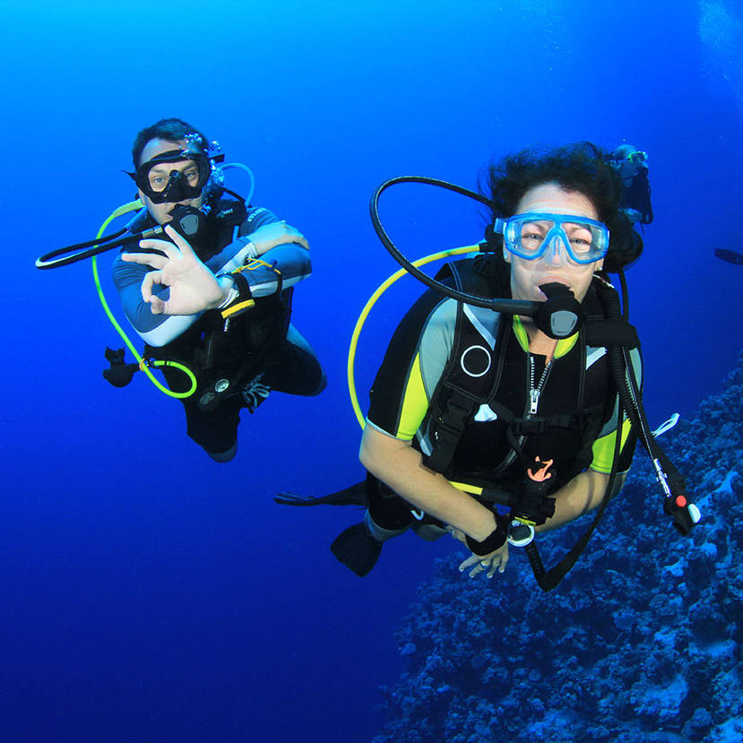 SCUBA REVIEW – Re Activate